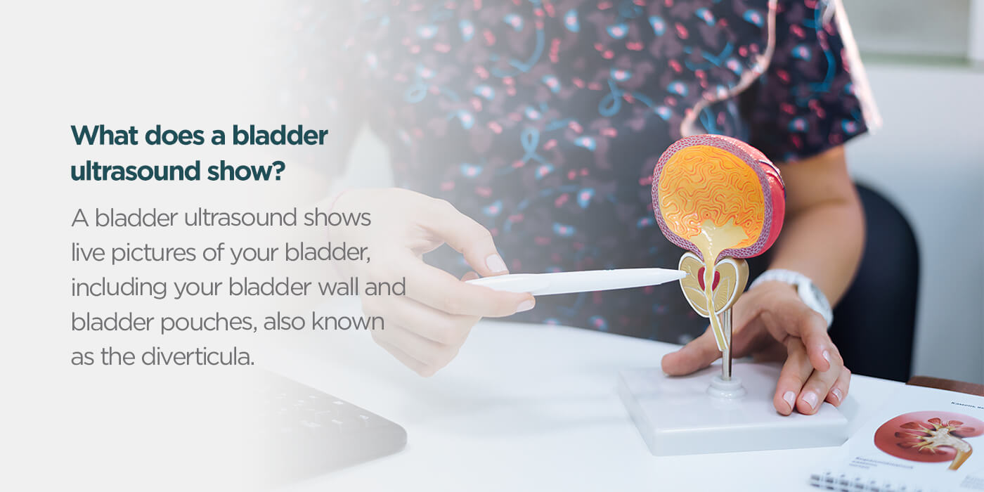 What does a bladder ultrasound show?